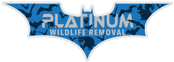 Washington Animal Removal
